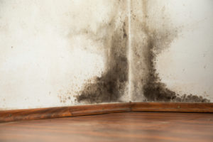 Tenant’s Right to Withhold Rent after finding mold in their apartment