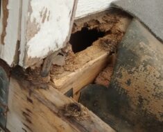Can I evict a Tenant that is Damaging my Property
