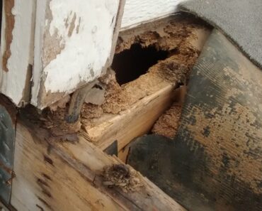 Can I evict a Tenant that is Damaging my Property